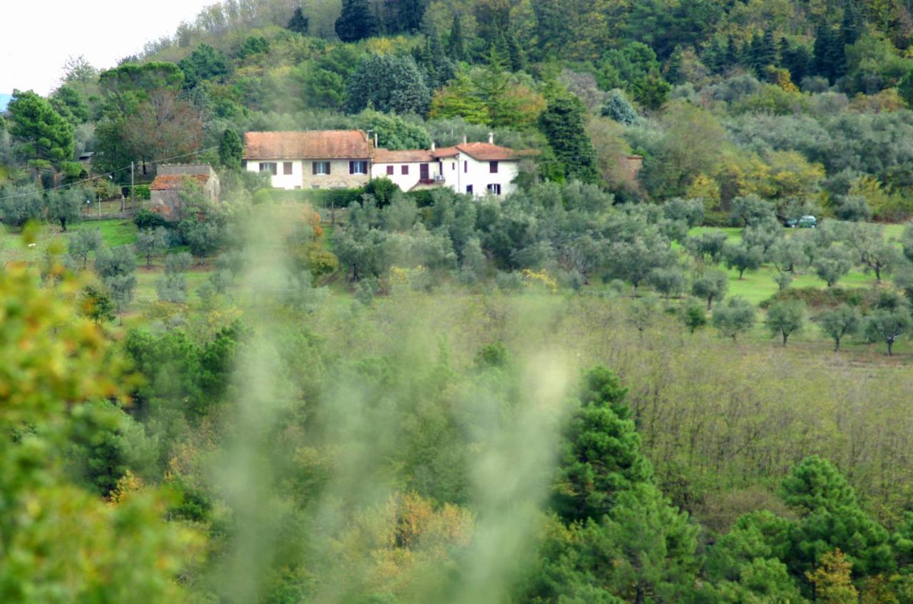 Il Podere La Casina Monsummano Terme