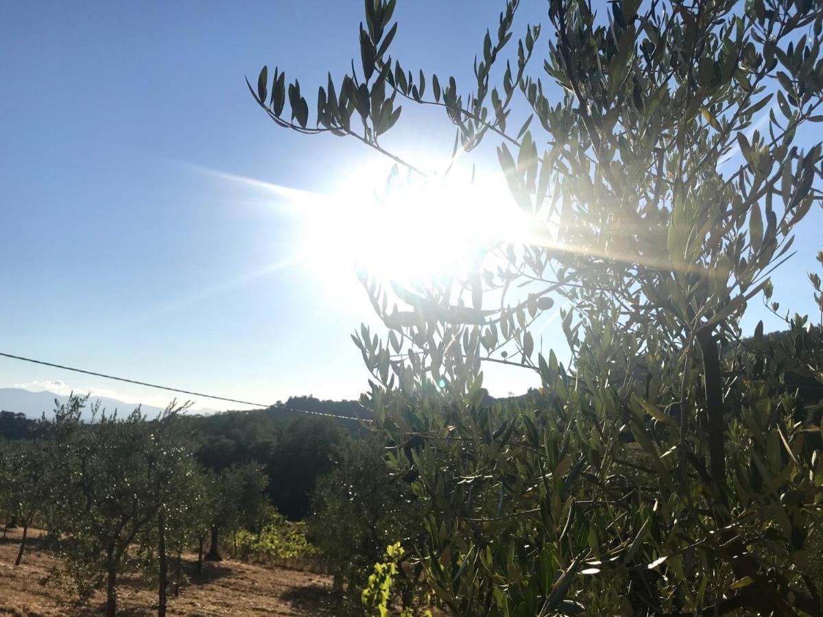 Il Podere La Casina Monsummano Terme