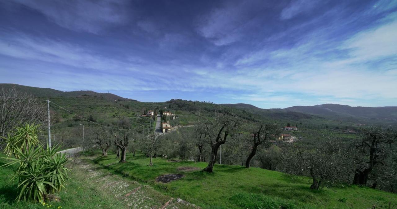 Il Podere La Casina * Monsummano Terme